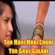 Tor Hari Hari Chudi Tor Gaal Gulabi New Year Special DJ Remix Poster