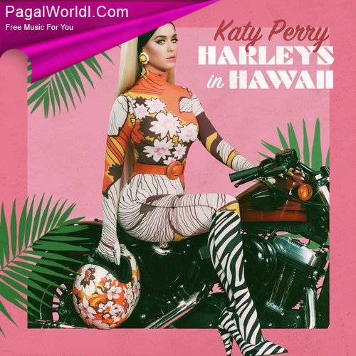 Harleys In Hawaii Ringtone Poster