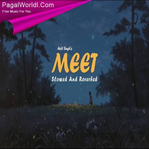 Meet (Slowed Reverb) Poster