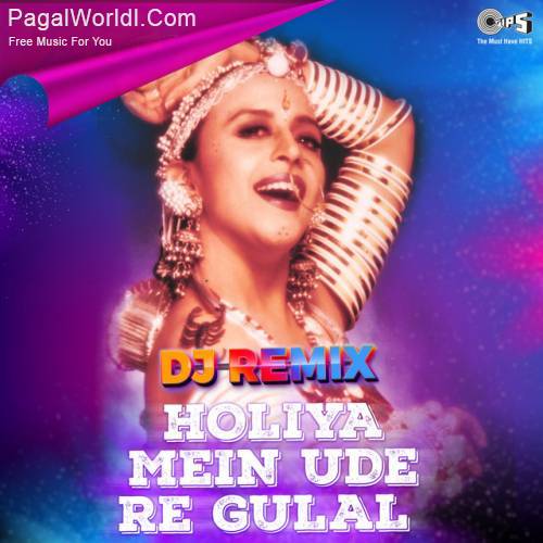 Holiya Mein Ude Re Gulal   DJ Remix Poster