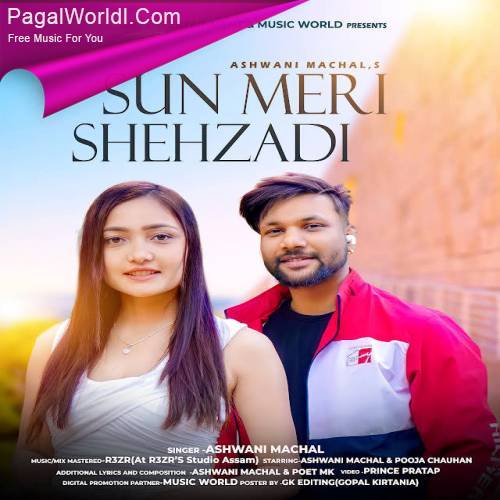 Sun Meri Shehzadi (Cover)   Ashwani Machal Poster