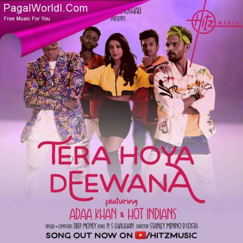 Tera Hoya Deewana Poster