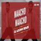 Nacho Nacho (Remix)   DJ Axonn Poster