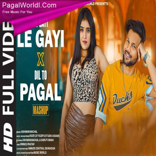 Le Gayi Le Gayi x Dil To Pagal Hai (Hindi Mashup)   Cover Poster