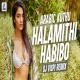 Halamithi Habibo (Remix)   DJ Vispi