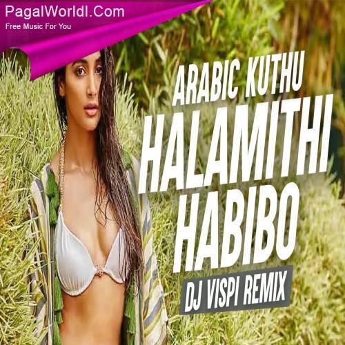 Arabic Kuthu (Remix)   DJ Vispi Poster