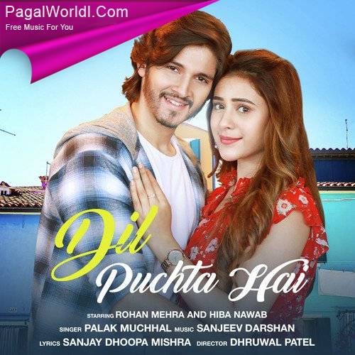 Dil Puchta Hai Poster