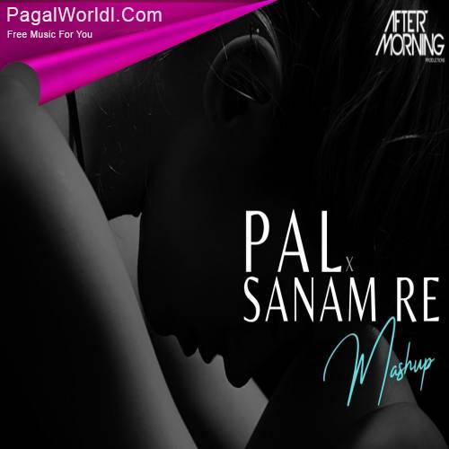 Pal x Sanam Re (Mashup)   Aftermorning Poster