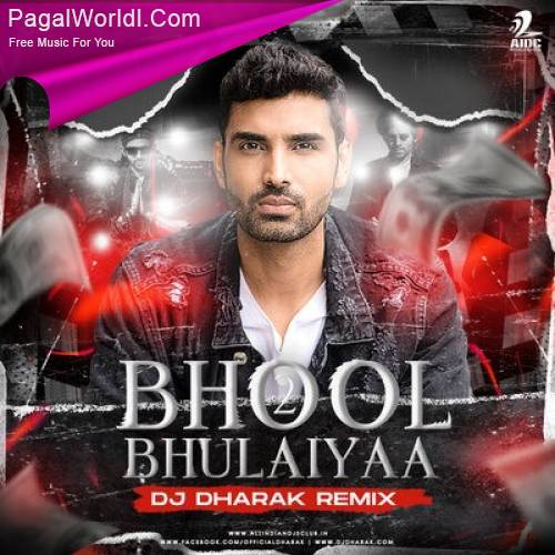 Bhool Bhulaiyaa 2 (Remix)   DJ Dharak Poster