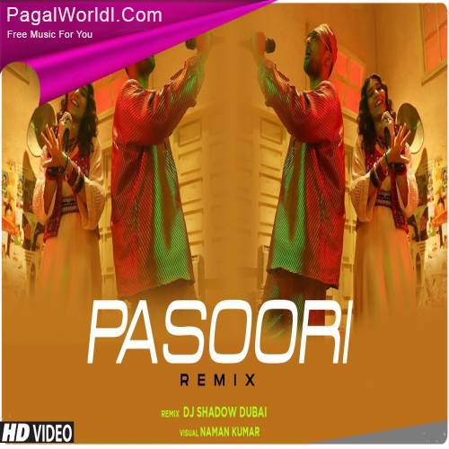 Pasoori (Remix)   DJ Shadow Dubai Poster