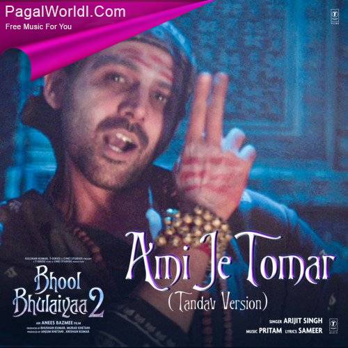 Ami Je Tomar (Tandav Version)   Bhool Bhulaiyaa 2 Poster
