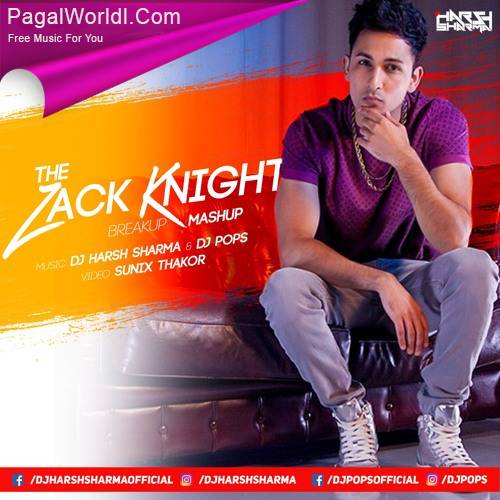 The Zack Knight Mashup Poster