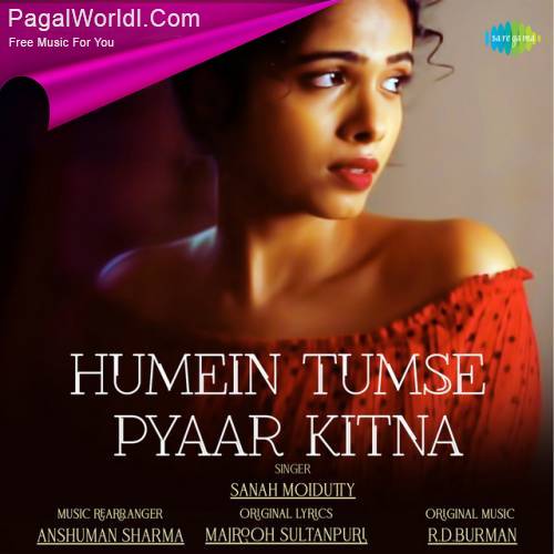 Humein Tumse Pyaar Kitna Cover Poster