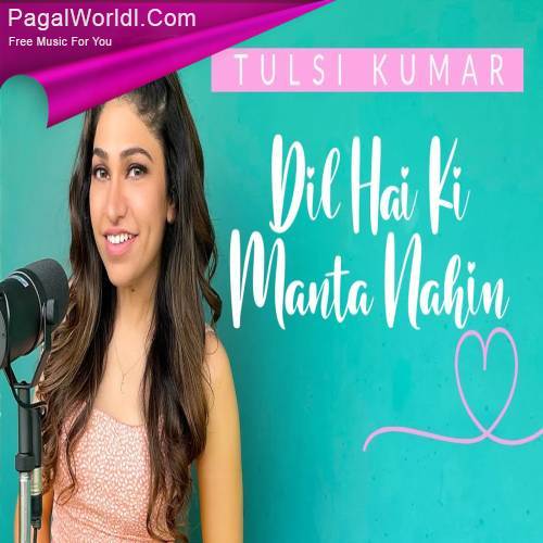 Dil Hai Ki Manta Nahin Unplugged Poster