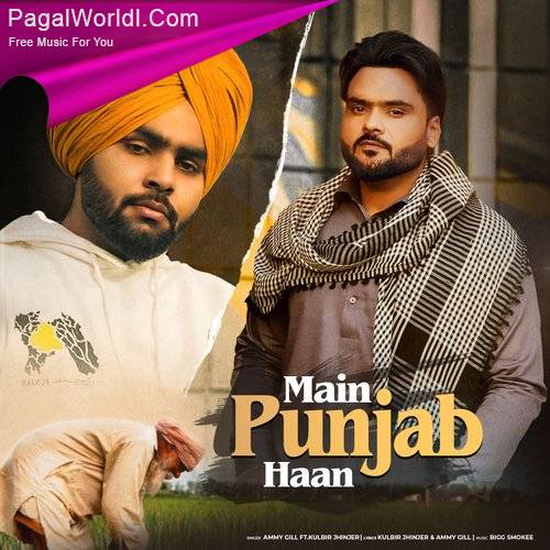 Main Punjab Haan Poster