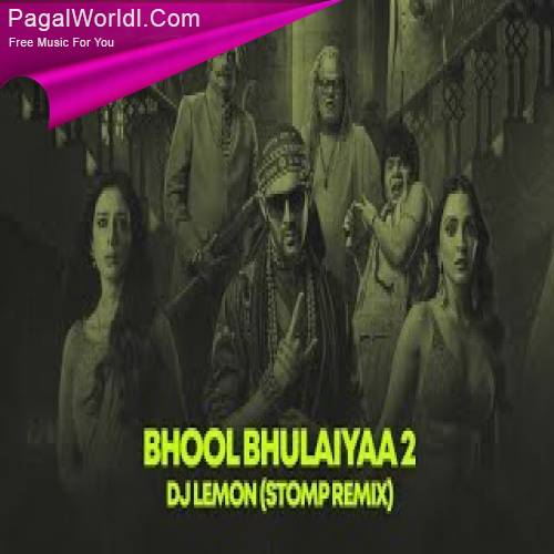 Bhool Bhulaiyaa 2   DJ Lemon Poster