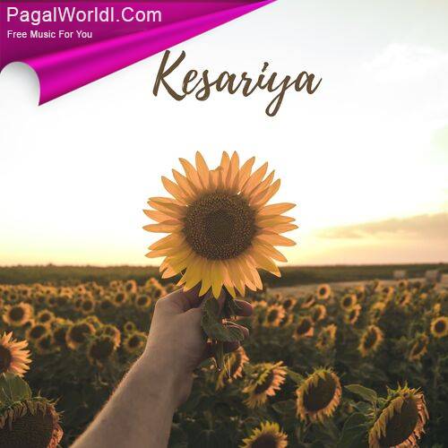 Kesariya (Cover)   Proyash Poster