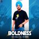 Boldness Poster