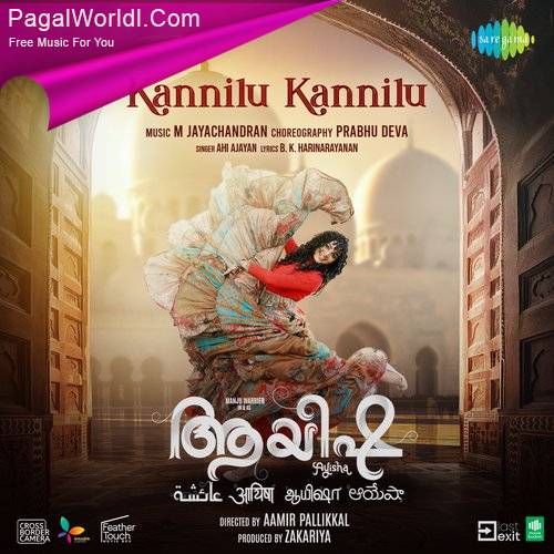 Kannilu Kannilu (Ayisha) Poster