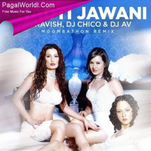 Chadti Jawani (Remix) Poster