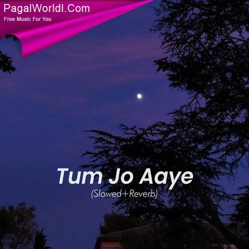 Tum Jo Aaye (Slowed and Reverb) Poster