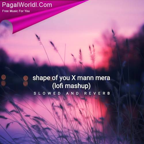 Shape of You X Mann Mera (Lofi Mashup) (Slowed and Reverb) Poster