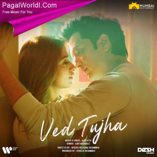 Ved Tujha Poster