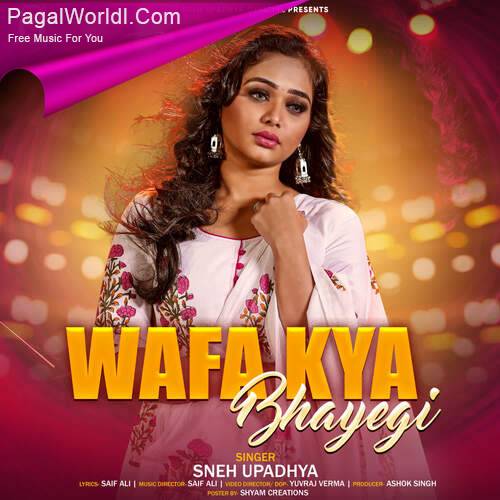 Wafa Kya Bhayegi Poster