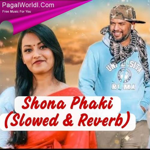 Shona Phaki (Slowed and Reverb) Poster