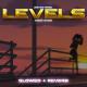Levels (Slowed Reverb)