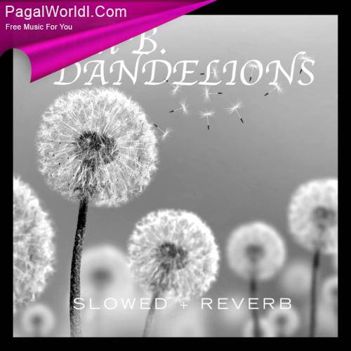 Dandelions (Slowed And Reverb) Poster