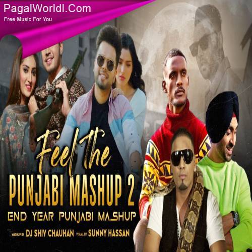 Feel The Punjabi Mashup 2 Poster