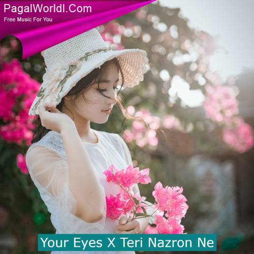 Your Eyes X Teri Nazron Ne Poster
