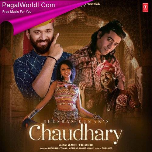 Chaudhary Poster