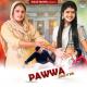 Pawwa Daily Ka Poster