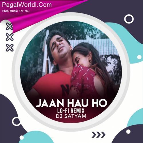 Jaan Hau Ho (LoFi Mix) Poster