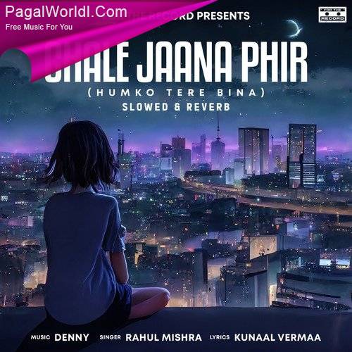 Chale Jaana Phir (Slowed Reverb) Poster