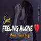 Feeling Alone LoFi Mashup Poster
