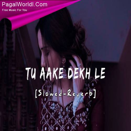 Tu Aake Dekh Le (LoFi) Poster