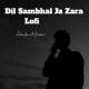 Dil Sambhal Ja Zara Lofi (Slowed Reverb)