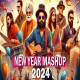 New Year 2024 Special Party Mashup Poster