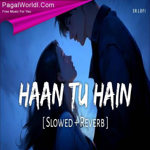 Haan Tu Hain (Slowed Reverb) Poster