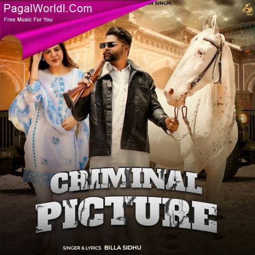Criminal Picture Poster