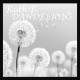 Dandelions (Slowed Reverb)