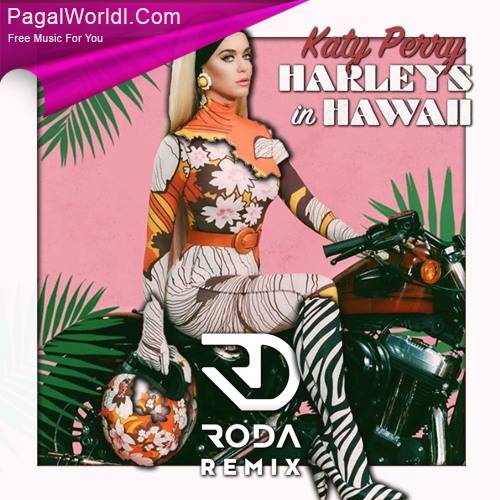 Harleys In Hawaii Poster