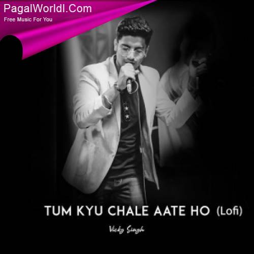 Tum Kyu Chale Aate Ho (Slowed And Reverb) Poster